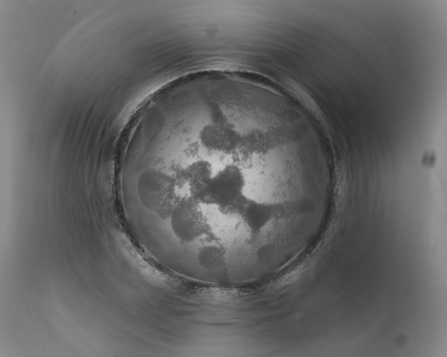 X0000112020831200908031355