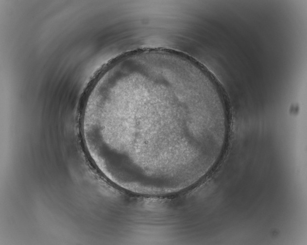 X0000112020832200908031355