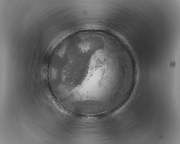 X0000112020833200908031355