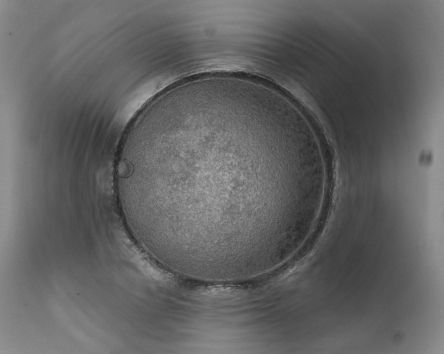 X0000112020834200908031355