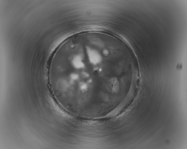 X0000112020835200908031355