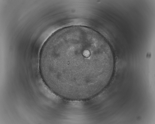 X0000112020836200908031355