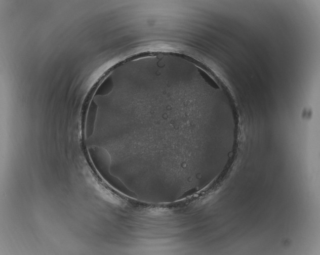 X0000112020837200908031355