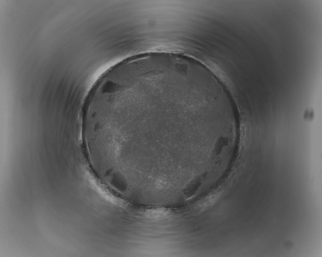 X0000112020838200908031355