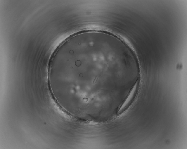 X0000112020839200908031355