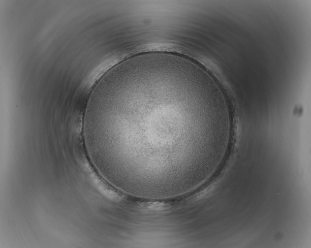 X0000112020841200908031355