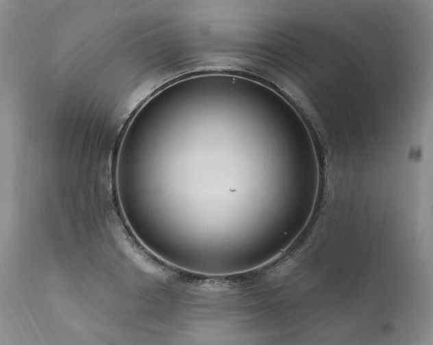 X0000112020842200908031355