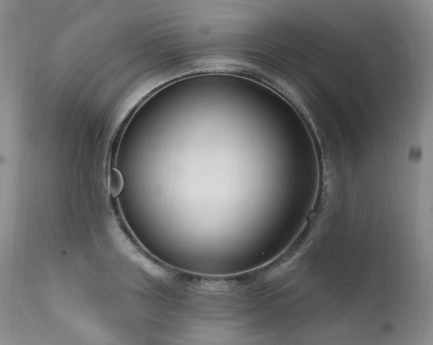 X0000112020843200908031355