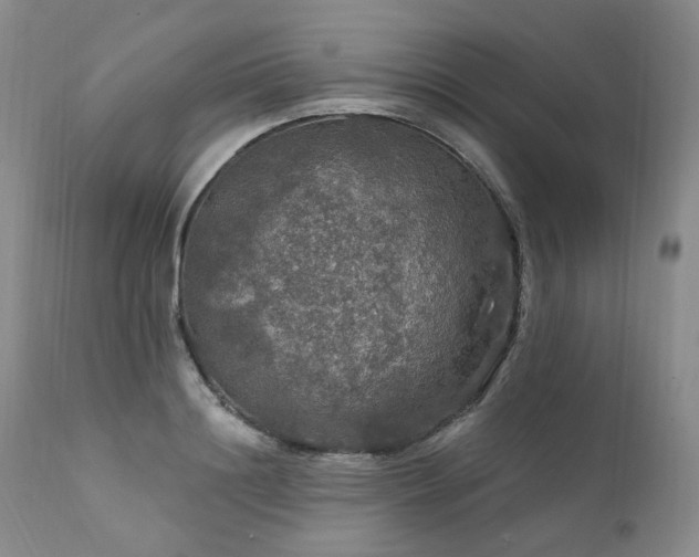 X0000112020844200908031355