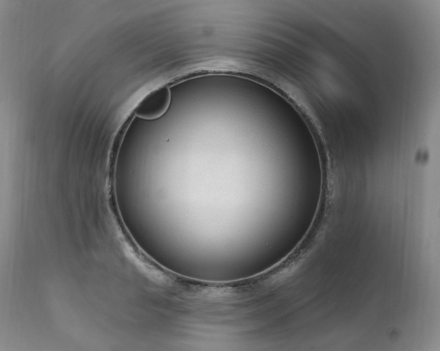 X0000112020845200908031355