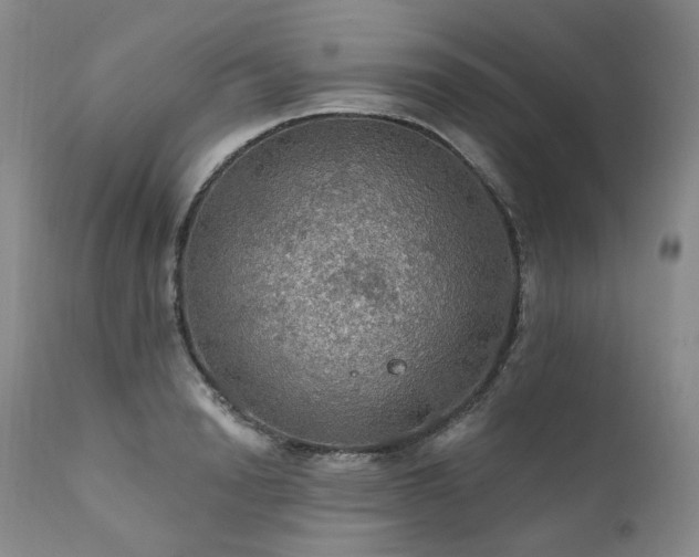 X0000112020846200908031355