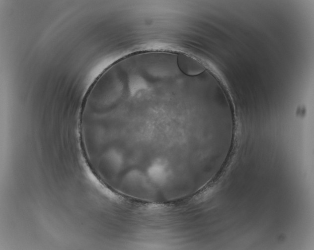 X0000112020847200908031355