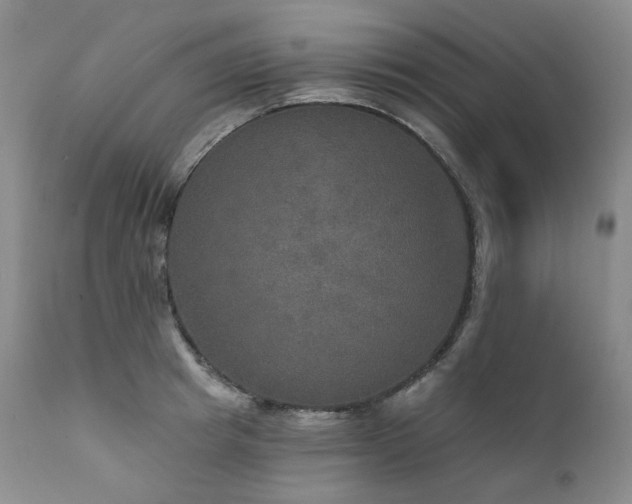 X0000112020849200908031355