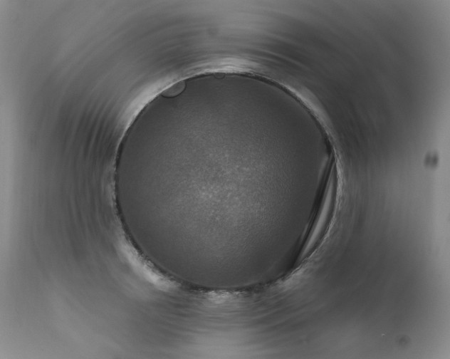 X0000112020850200908031355