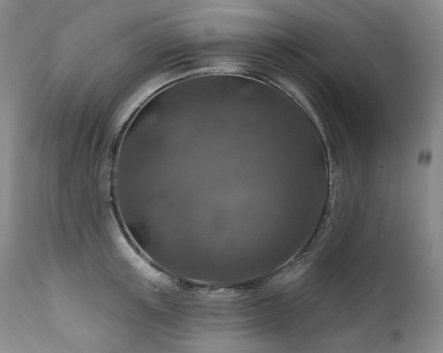 X0000112020851200908031355