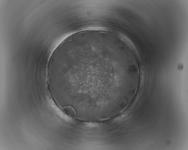 X0000112020852200908031355