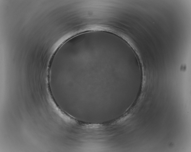 X0000112020853200908031355