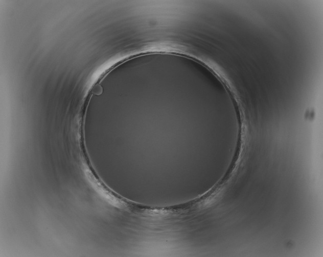 X0000112020854200908031355