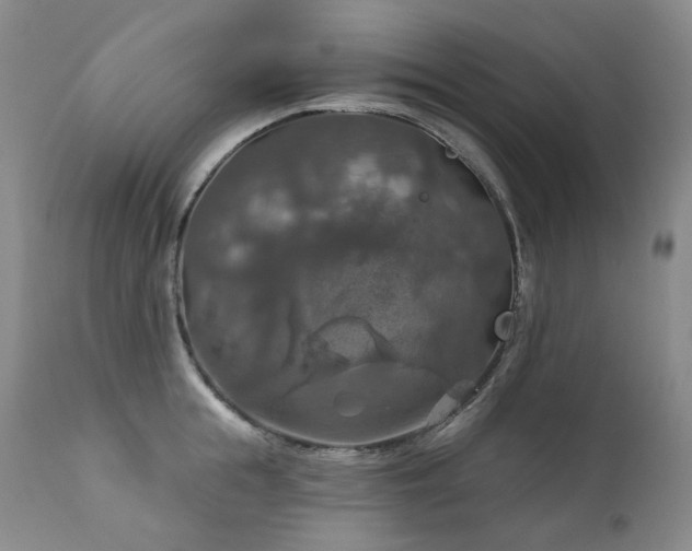 X0000112020855200908031355