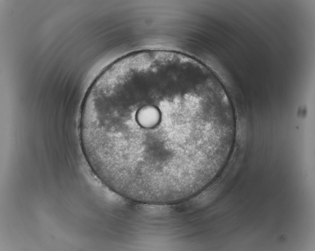 X0000112020856200908031355