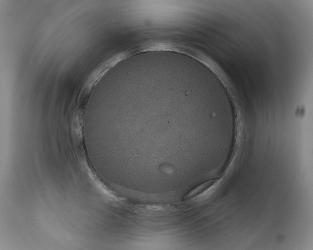 X0000112020857200908031355