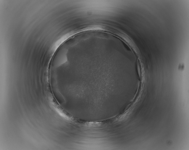 X0000112020858200908031355