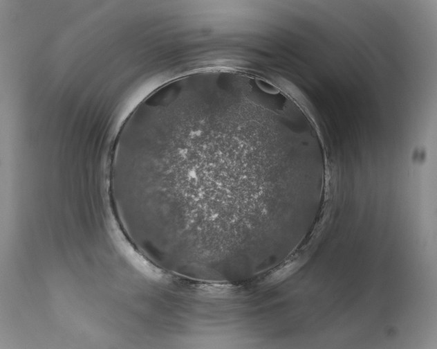 X0000112020859200908031355