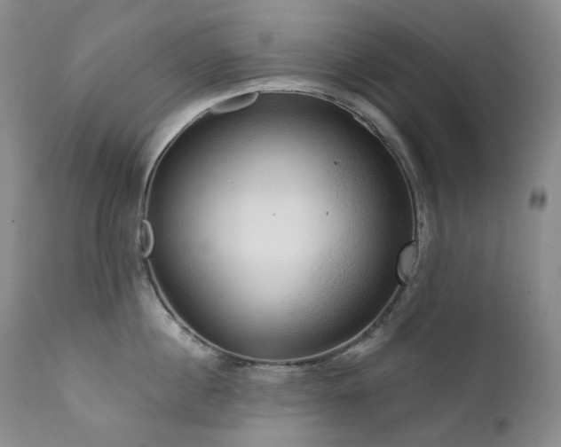 X0000112020860200908031355