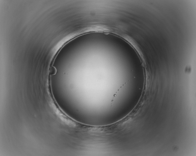 X0000112020861200908031355