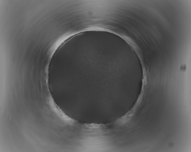 X0000112020862200908031355