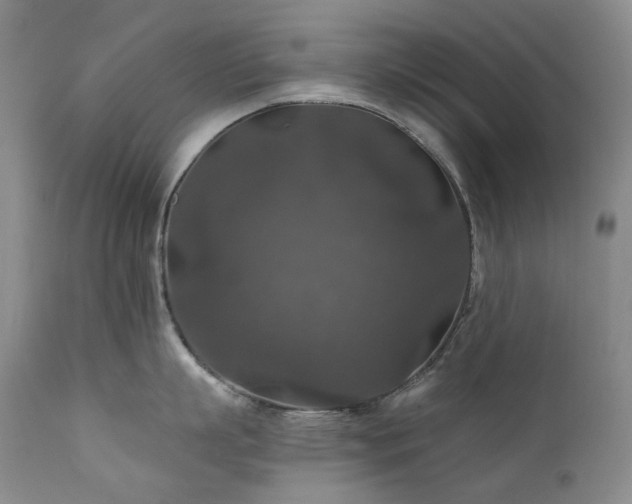 X0000112020863200908031355