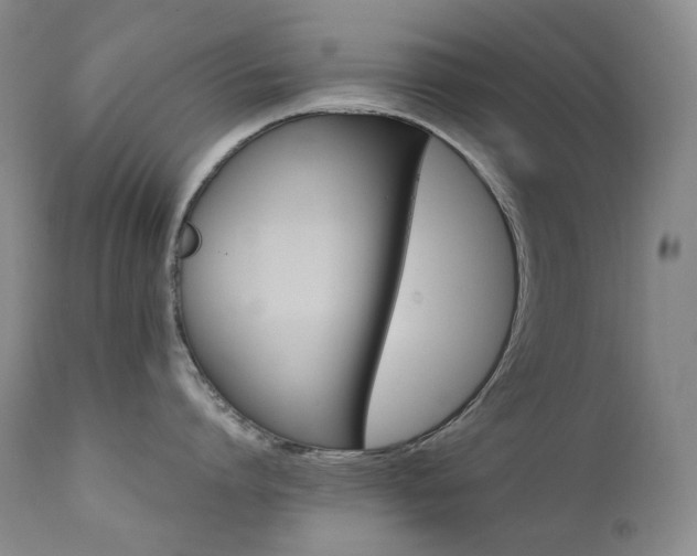 X0000112020864200908031355