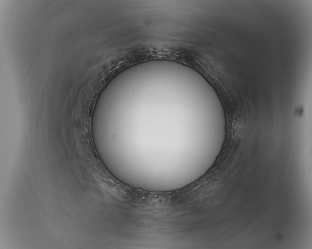 X0000112020865200908031354