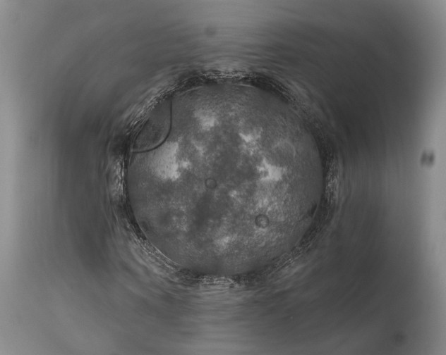 X0000112020866200908031354