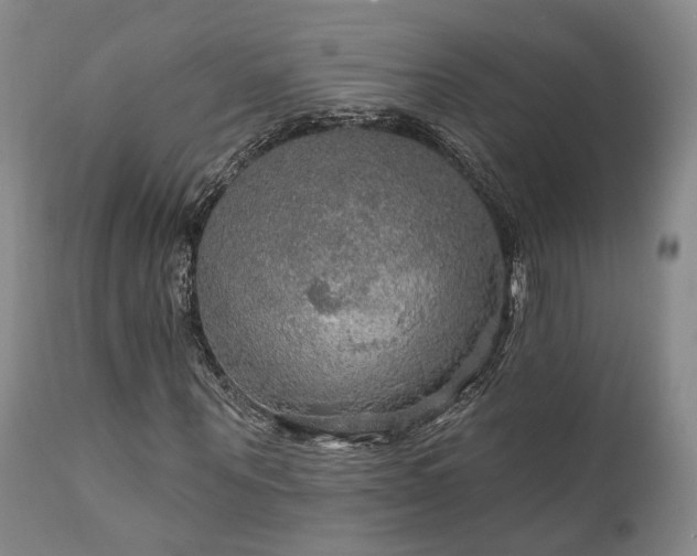 X0000112020867200908031354