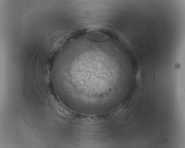 X0000112020868200908031354