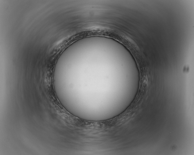 X0000112020869200908031354