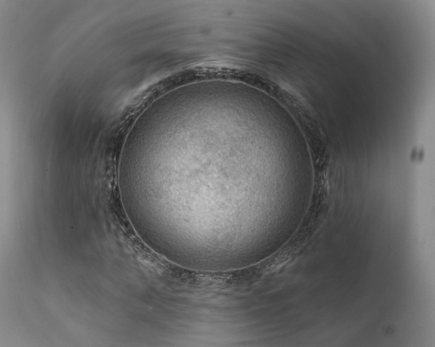 X0000112020870200908031354