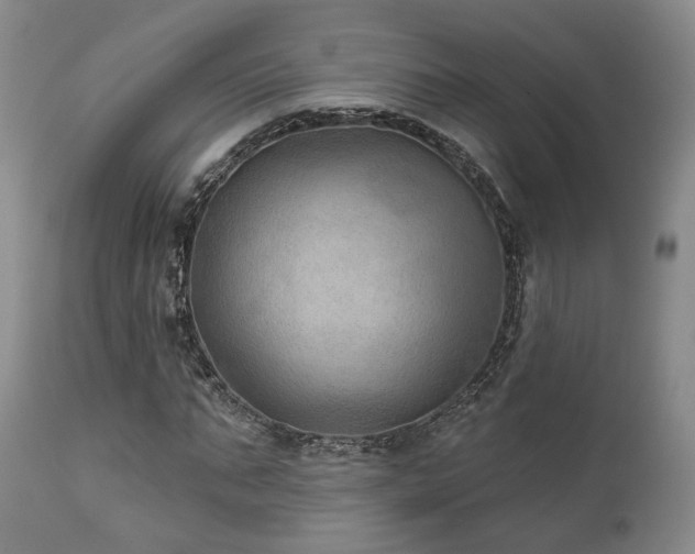 X0000112020871200908031354