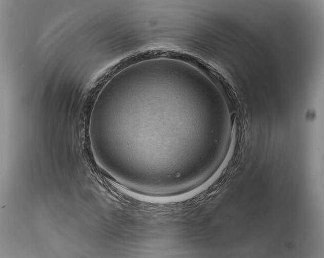 X0000112020872200908031354