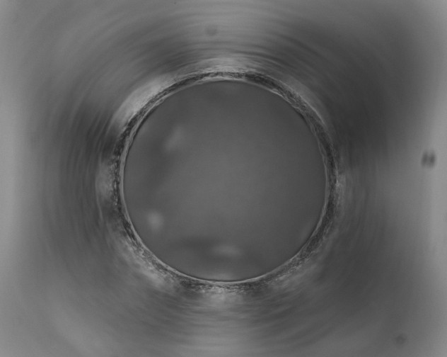 X0000112020874200908031354