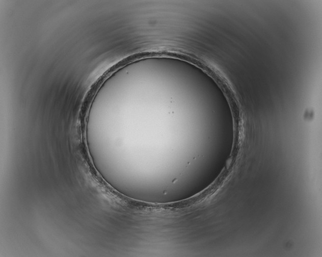 X0000112020876200908031354