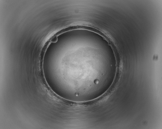 X0000112020877200908031354