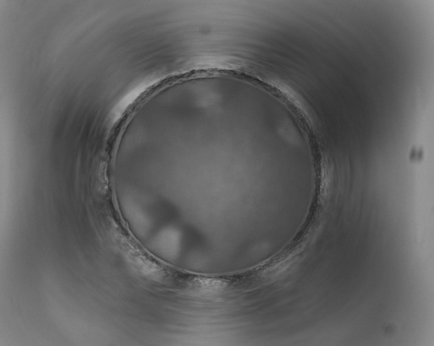 X0000112020878200908031354