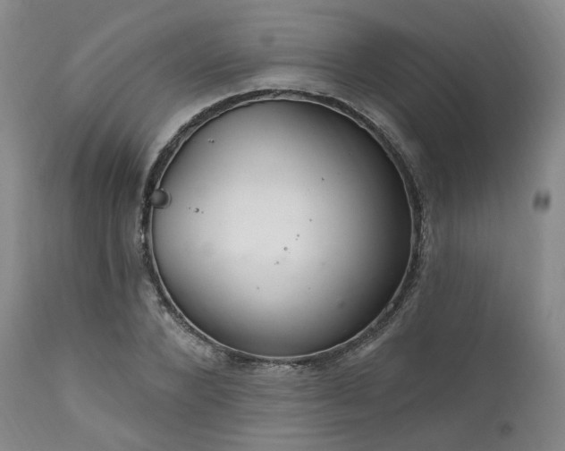 X0000112020880200908031354