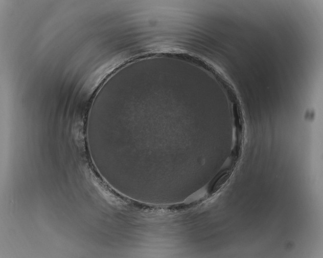 X0000112020881200908031354