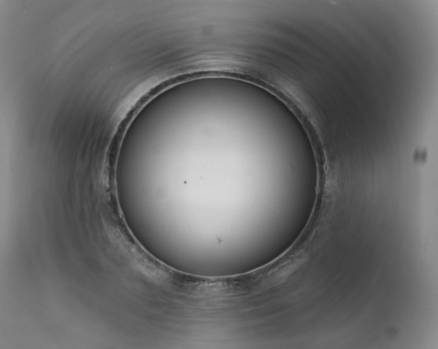 X0000112020883200908031354