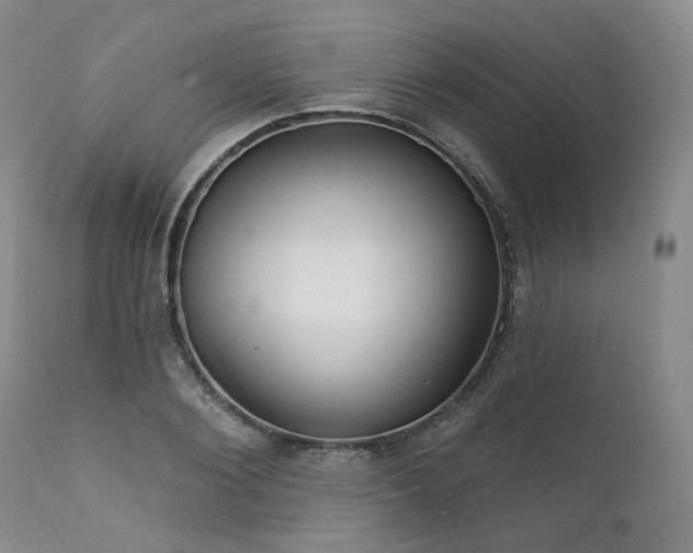 X0000112020884200908031354