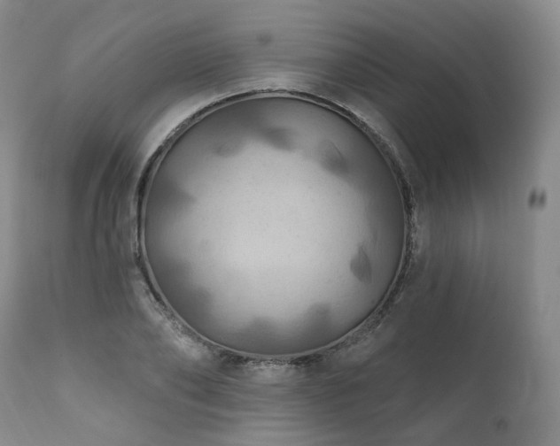 X0000112020886200908031354