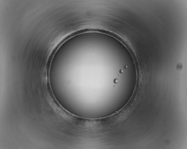 X0000112020887200908031354